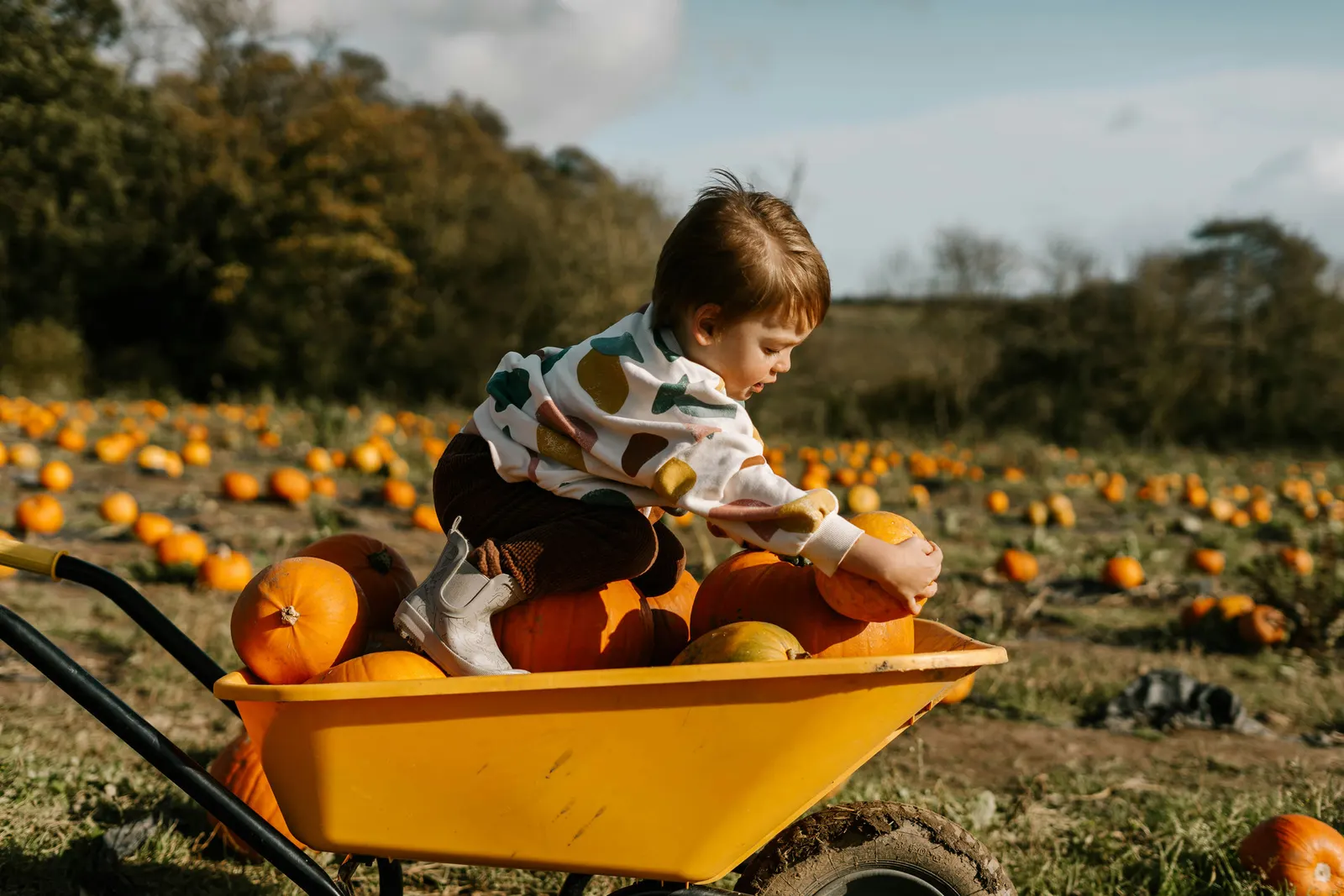 Fall Festivals, Pumpkin Patches & October Fun in North Houston, Conroe & Willis