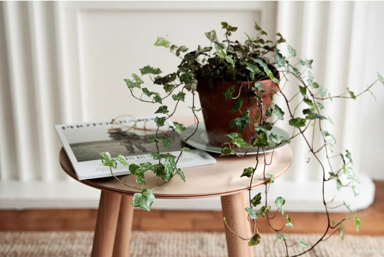Top Trends in Fall Home Design for 2024