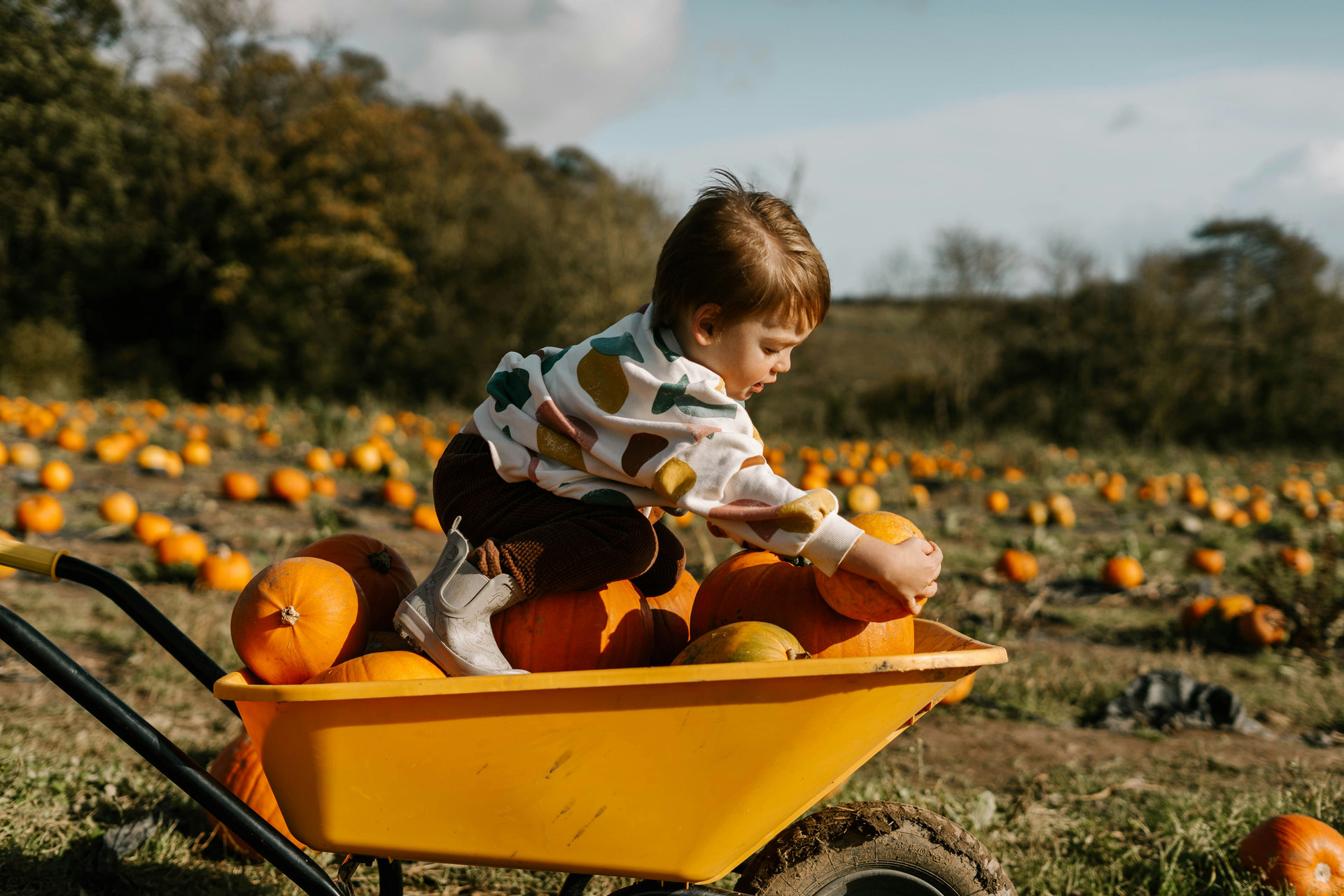 Conroe kid enjoying a local pumpkin patch