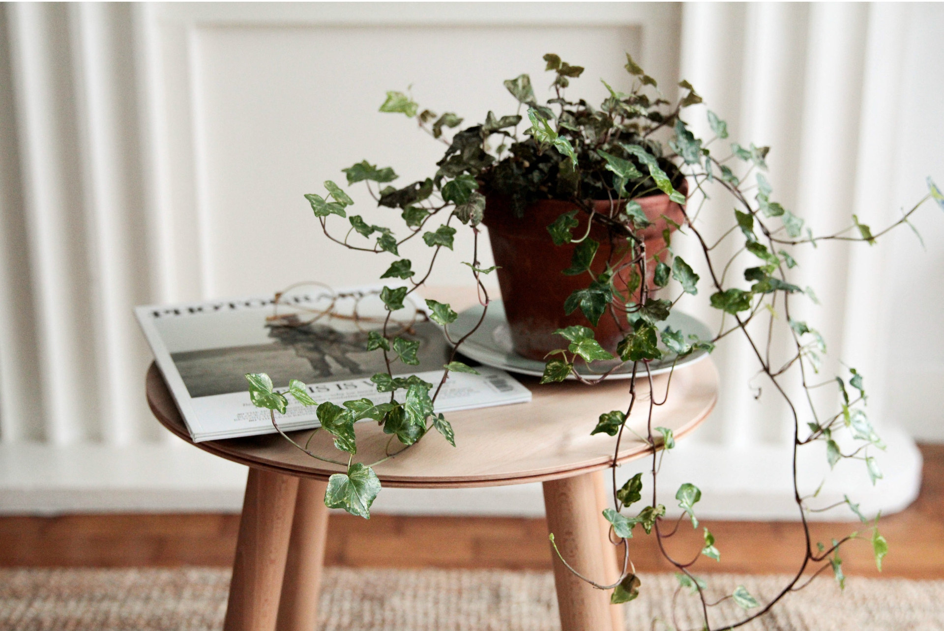 Top Trends in Fall Home Design for 2024