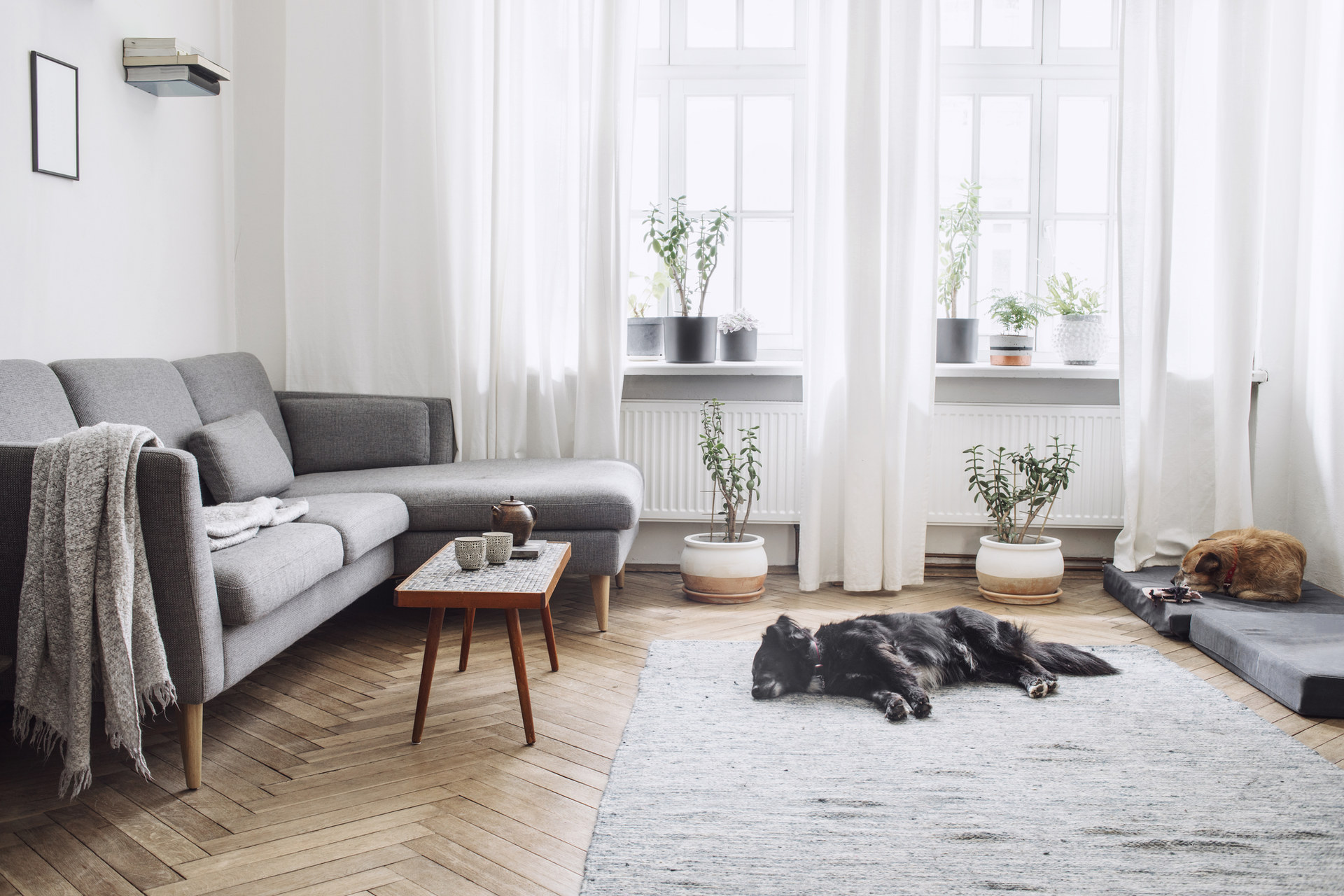 Top 5 Design Trends for New Homes in 2025